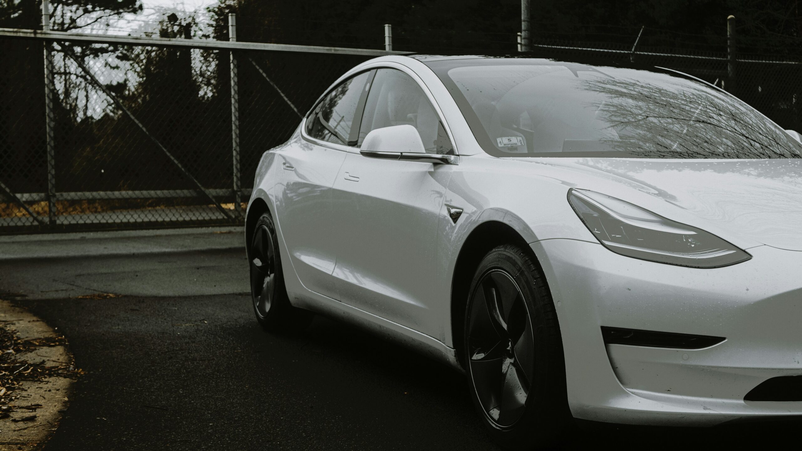 What Tesla’s 2025 Stock Predictions Mean for Investors in Florida