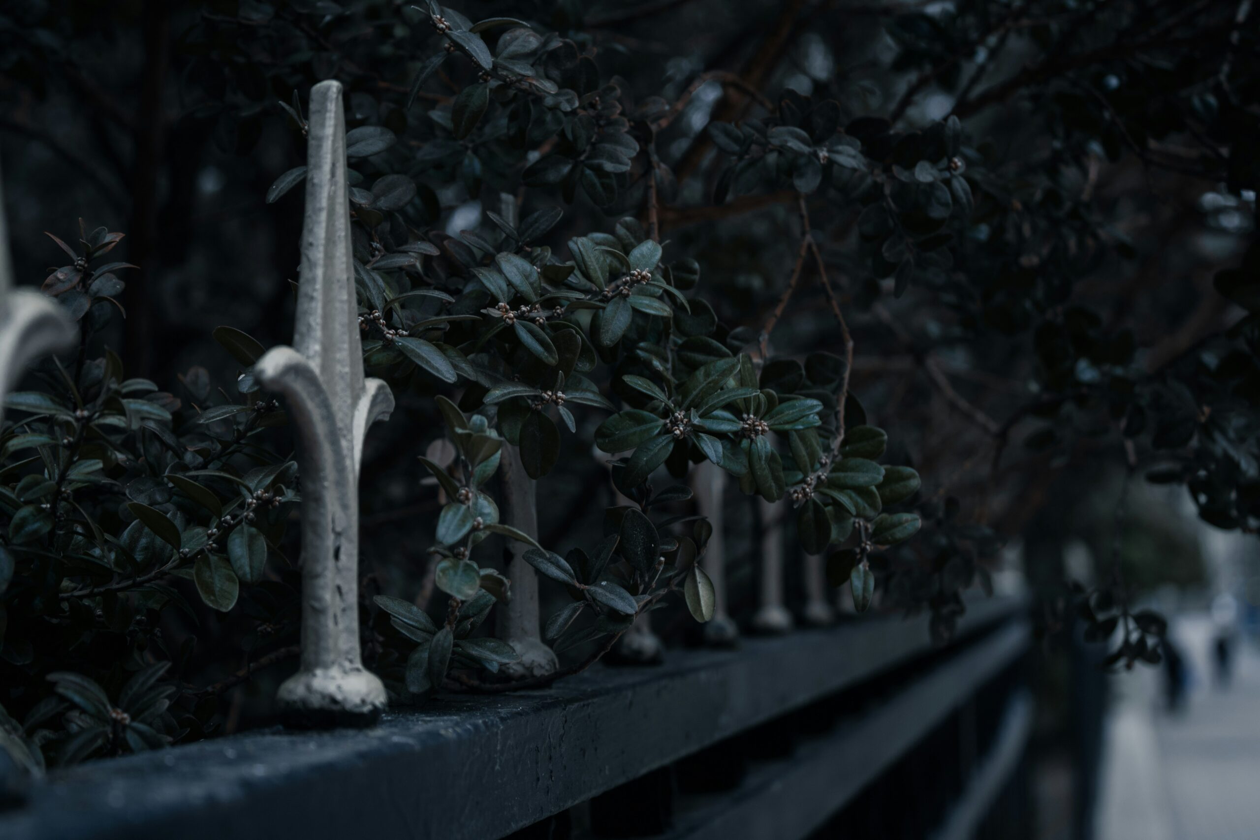 The Human Heart of Assassin’s Creed: Beyond the Action